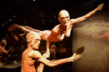 Körperwelten (Fotos: Kleine-besten/STUGGI.TV)