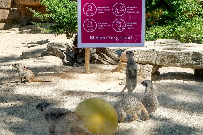 Wilhelma öffnet ab Montag ihre Pforten unter strengen Schutzmaßnahmen