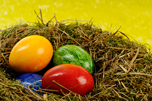 Macht mit und sucht den Stuggi-Hasen