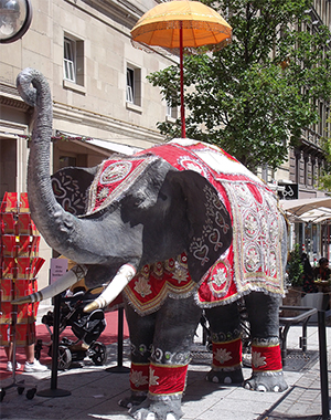 Bollywood lässt grüßen...