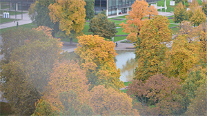 In Stuttgart den Herbst genießen