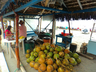 Freiwilligendienst in Ecuador: Annalena als Señorita
