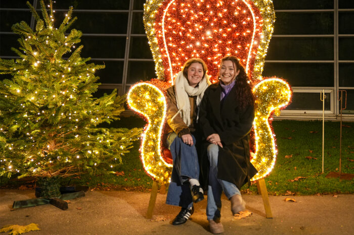 Weihnachtsstimmung in der Wilhelma: Der Christmas Garden ist zurück