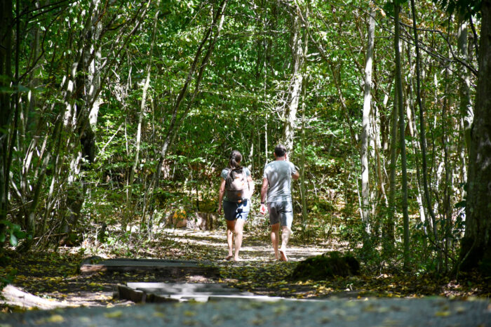 Ausflug der besonderen Art: Unser Reporter testet den Barfußpark in Ötisheim