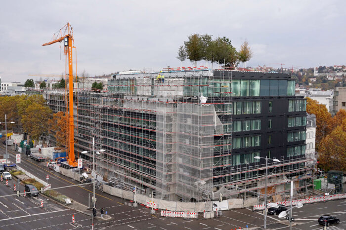 Fotogalerie: Miniwald auf dem Dach der Calwer Passage