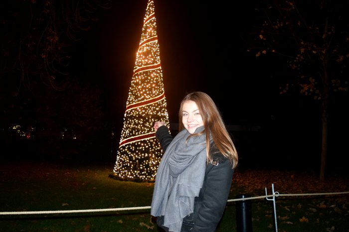 Christmas Garden gestartet: So schön leuchtet die Wilhelma