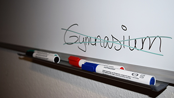 Sollten wir das Gymnasium abschaffen?