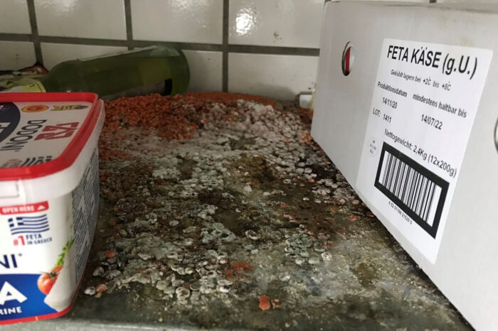 Wie hygienisch geht es in der Stuttgarter Gastro zu?