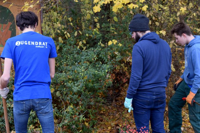 Jugendrat fordert Ende der Baumfällungen im Botnanger Wald