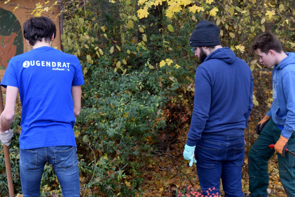 Firat Yurdakul, Sprecher des Jugendrat Stuttgart, hat uns die Baumfällungen im Botnanger Wald gezeigt. (Foto: STUGGI.TV/Rau)
