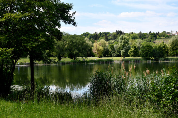 Stuttgarter CDU fordert Aufenthaltsverbot für den Max-Eyth-See