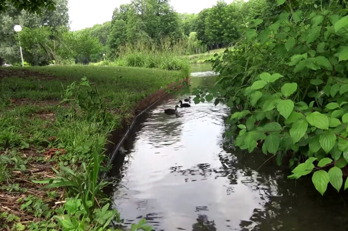 OB Nopper will weiterhin am Nesenbach dranbleiben