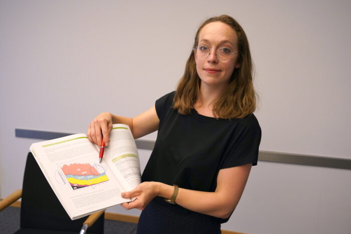 Grüne Pläne der SPD: Stadt Stuttgart soll eine Milliarde für den Klimaschutz investieren