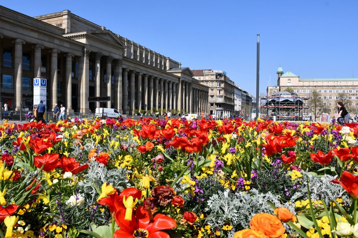Fotostrecke: Wie Corona das Stuttgarter Stadtbild verändert