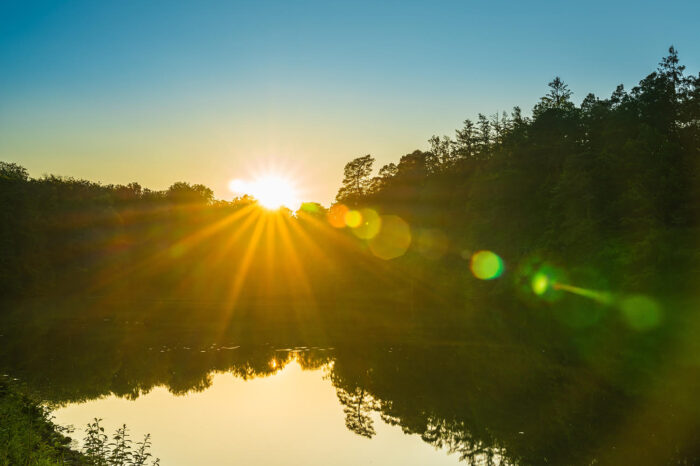 Stuttgarter Bäche leiden unter Hitze: Stadt warnt vor Wasserentnahme