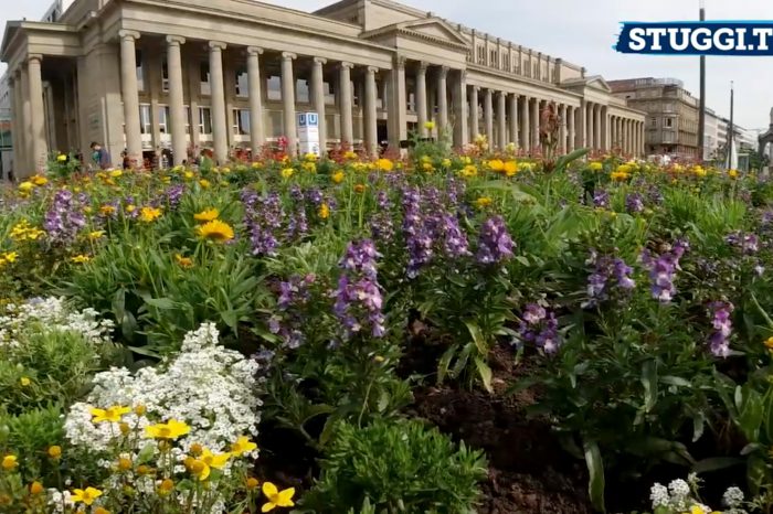 Unser STUGGI.TV Tech-Checker Florian Schmucker verrät euch, was die neue DJI Osmo Action zu bieten hat. (Foto: STUGGI.TV/Schmucker)