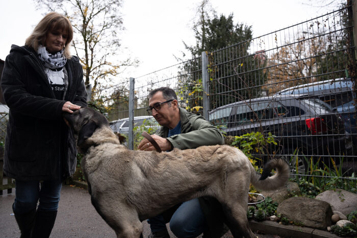 Tierheim in Stuttgart-Botnang am Anschlag