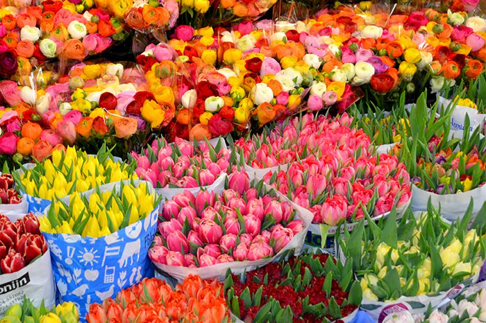 Die schönsten Stuttgarter Lovestorys zum Valentinstag