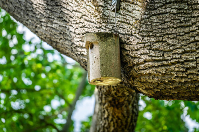 News-Update vom Donnerstag: Forstamt meldet erhebliche Klimaschäden im Stuttgarter Wald