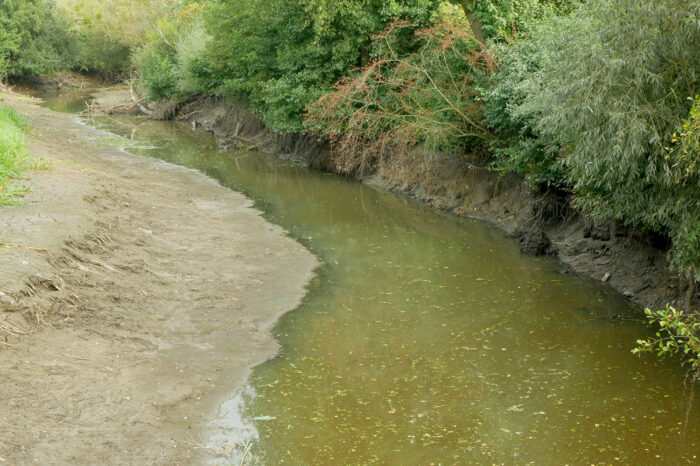 Hitze und Unwettergefahr: Land verschärft Strategien gegen Hochwasser, Starkregen und Wassermangel
