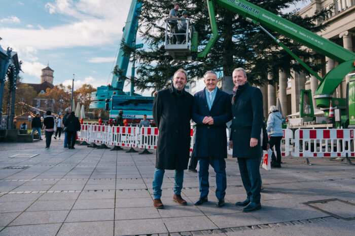 Weißtanne auf dem Schlossplatz kündigt die Adventszeit an