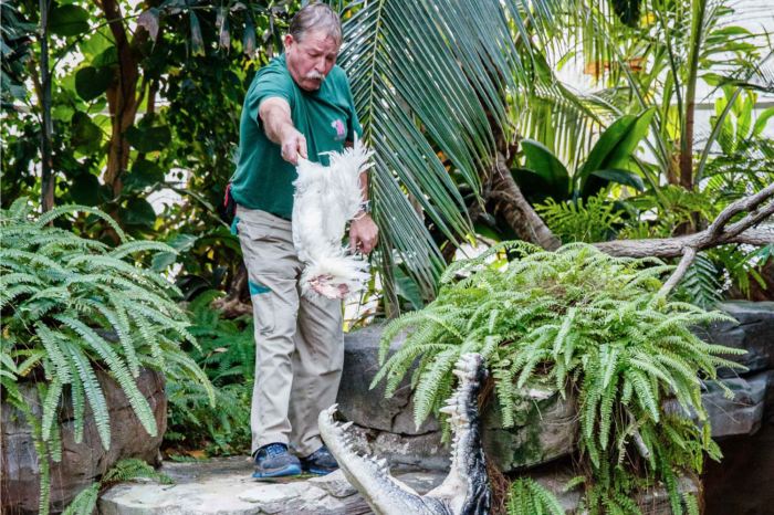 Ruhestand für Tierpfleger "Crocodile Harry" nach 47 Jahren in der Wilhelma