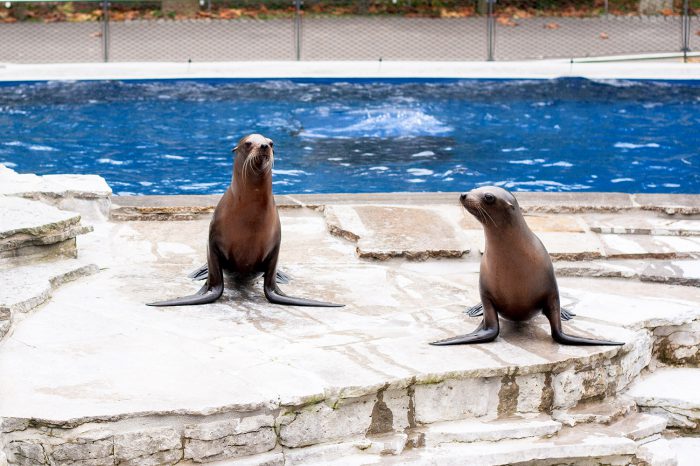 Corona-Lockerungen: Zoos und Museen dürfen ab Mittwoch wieder öffnen