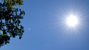 Bis zu 36 Grad: Stuttgart bereitet sich auf Hitzewelle vor