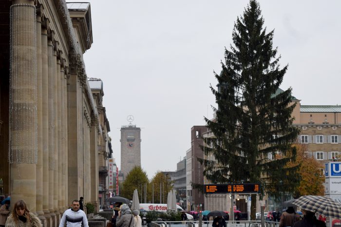 Weihnachtsbaum auf dem Schlossplatz: Ja, ist denn heut' schon Weihnachten?